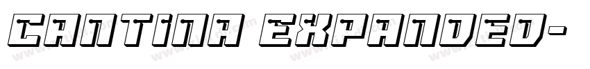 Cantina Expanded字体转换